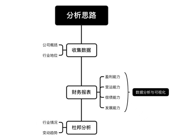 财务风险分析思路