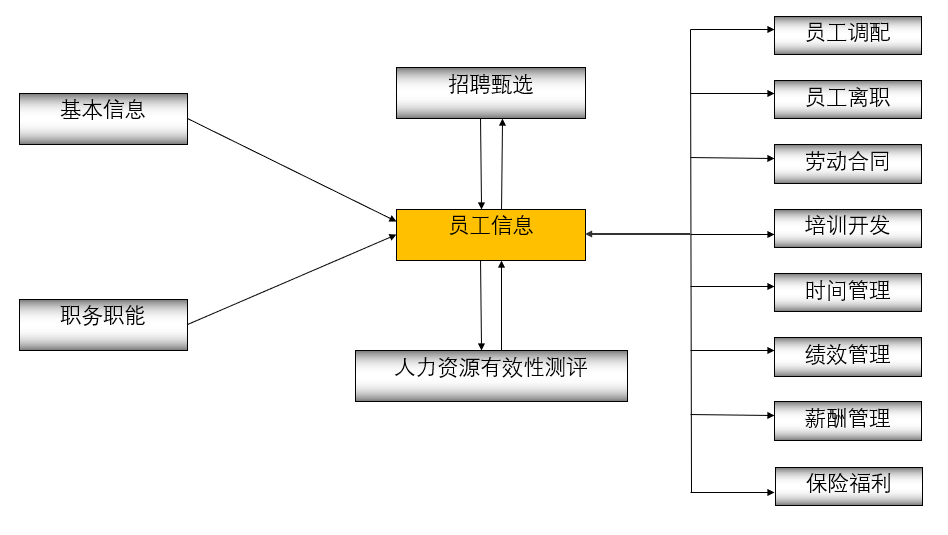 确定人力资源分析的目标